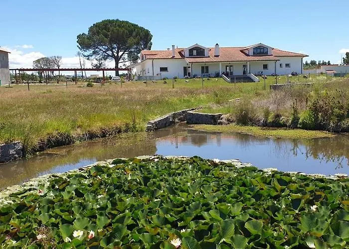 Quinta Coracao D'ouro